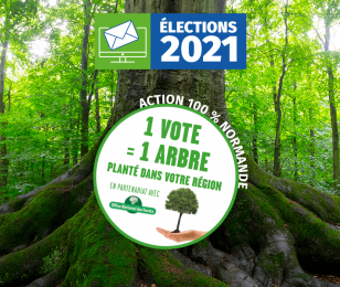 1 votre 1 arbre elections CCI